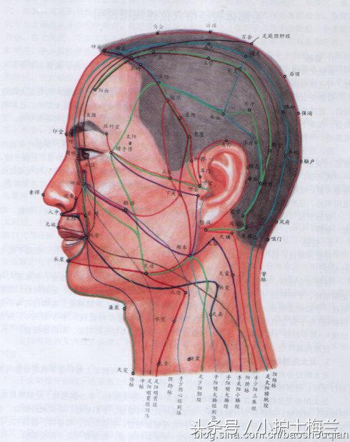 任督二脉功法图,真气打通任督二脉图解