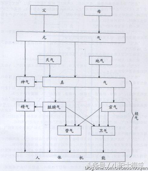 任督二脉功法图,真气打通任督二脉图解