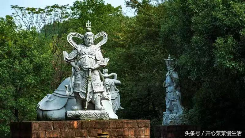 这个寺庙有点怪，只有一个和尚和百名肿瘤病人