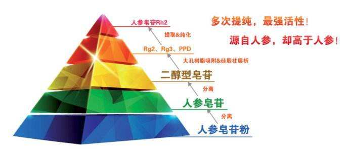 人参皂苷抗癌功臣,富生人参皂苷rg3抗癌有效果吗