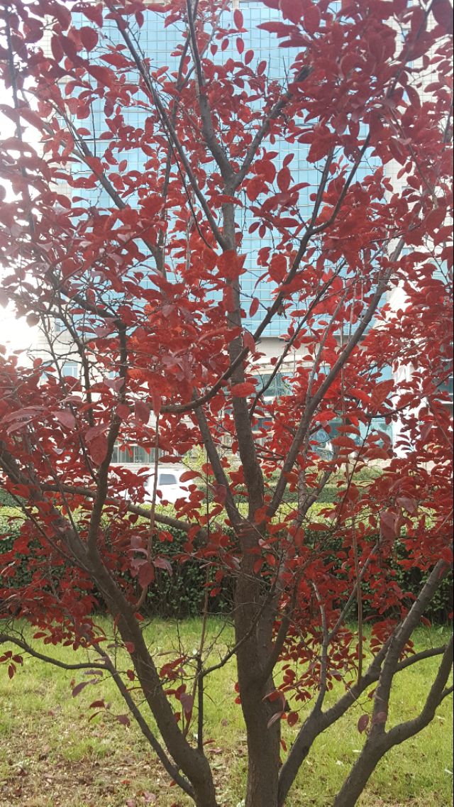 华为mate20pro现在还能买吗,华为mate20pro还可以入手吗