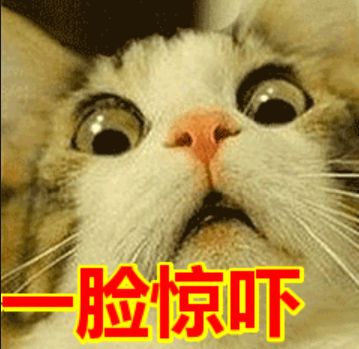 ugg美国和澳大利亚,ugg被爆出惊天丑闻