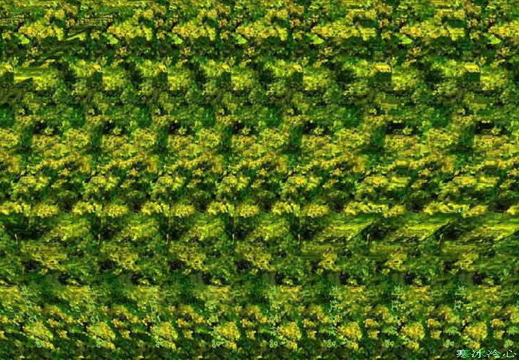 看三维立体图片有没有好处,看三维立体图能看到什么