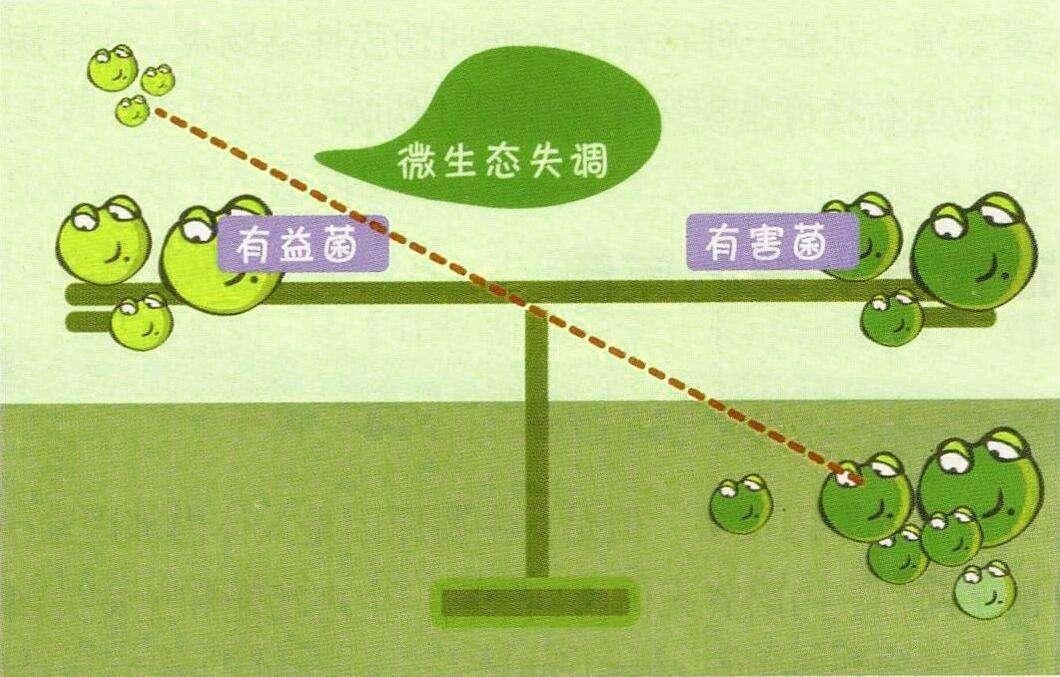 总是放屁是肠胃不好吗,老是腹泻放屁怎么调节肠胃