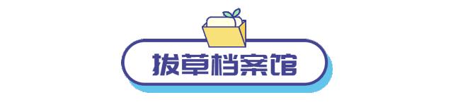 杭州阿迪达斯街头赛,阿迪达斯街头巡回赛杭州哪里看