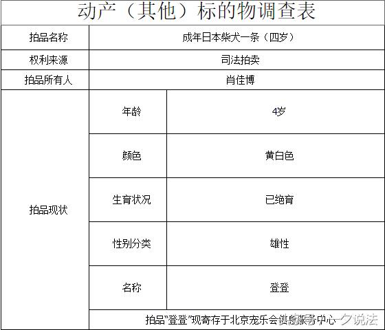 法院拍卖柴犬,司法拍卖柴犬最新消息