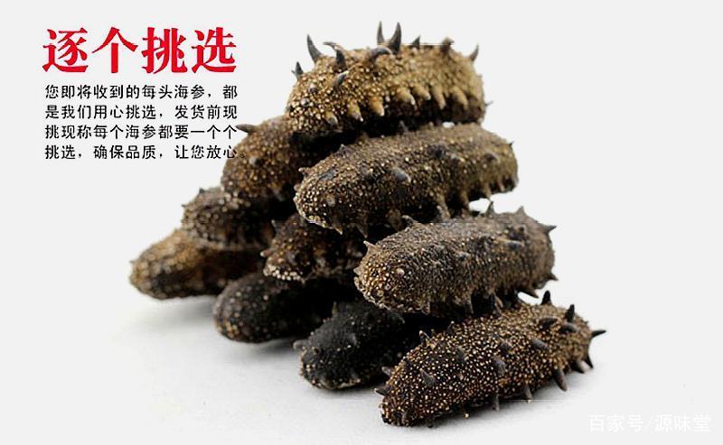 野生干海参鉴别三招,干海参的食用方法及禁忌和副作用