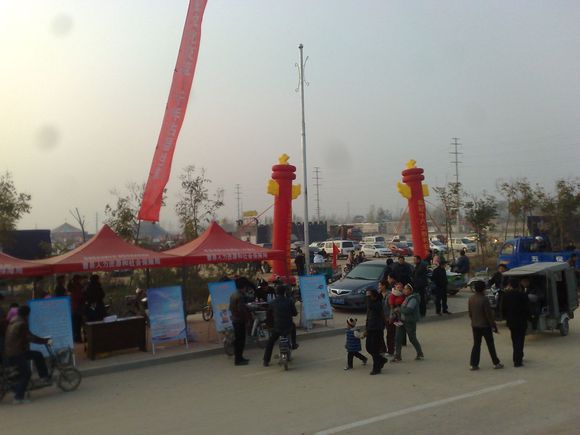 阿呆图片动图,阿呆高清图片图文