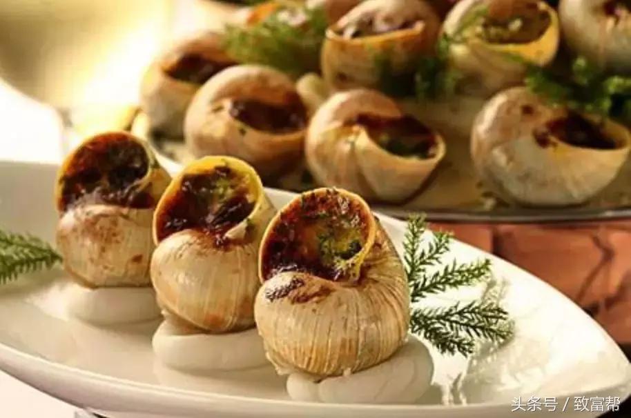 白玉蜗牛养殖成本与利润有多少呢,养殖白玉蜗牛挣钱吗知乎