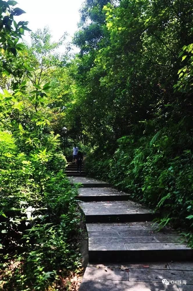 珠海降温最快的地方,珠海降温最好的地方