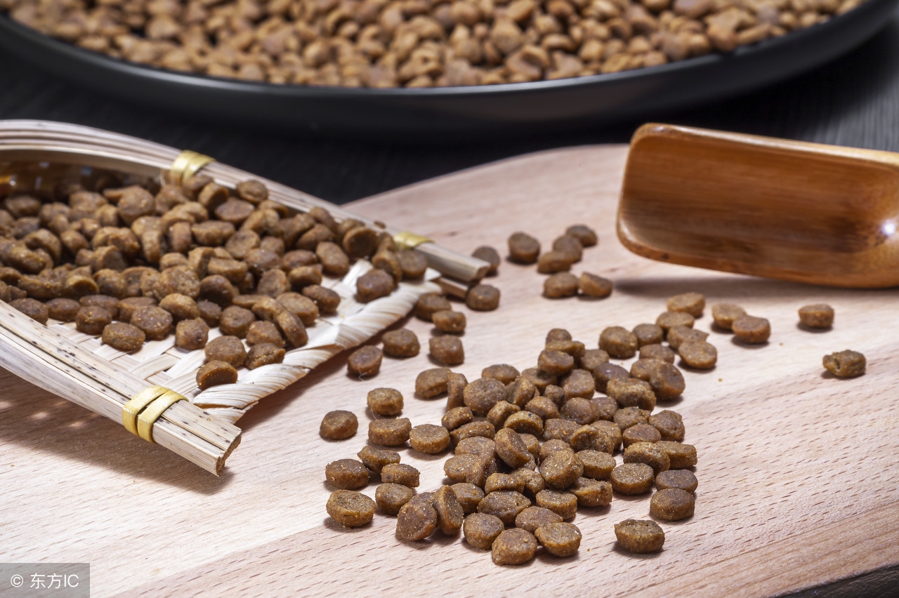 挑选狗粮的四个误区,选狗粮痛点