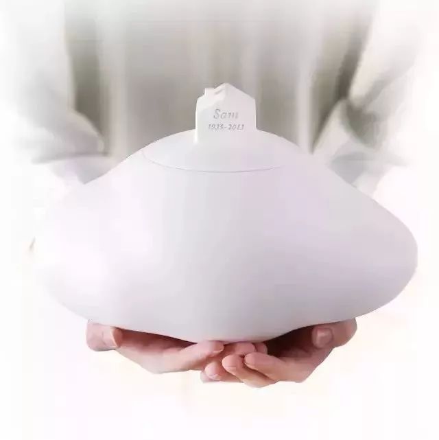 一空网的后人生互联网殡葬,真正的“骨灰级”浪漫|飞马独角兽