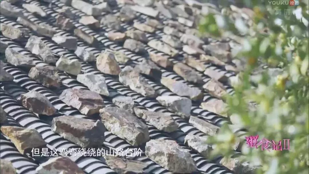 小夫妻卖掉老家房子,小夫妻卖掉房子去内蒙古