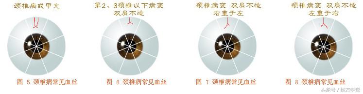 经方学习讲座,经方学堂分享