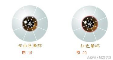 经方学习讲座,经方学堂分享