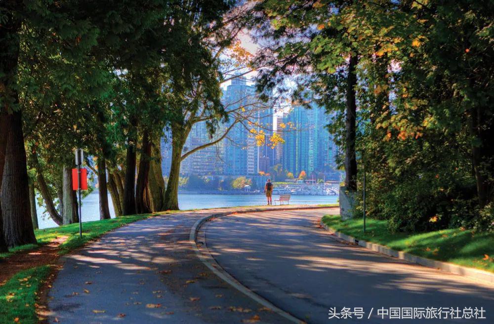 看我72变百变字母秀,看我72变改编