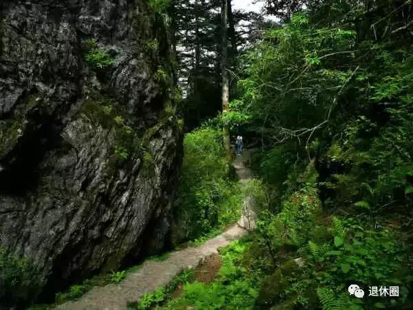 全国各地特产水果一览表,全国各地农产品特产一览表