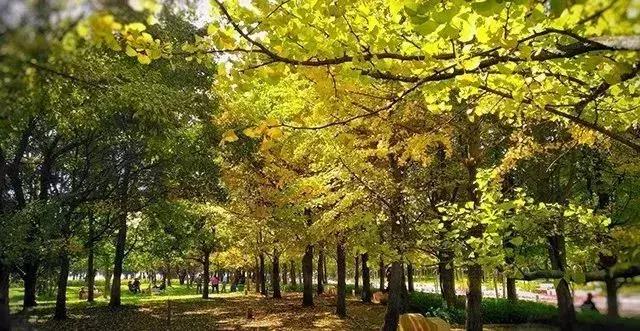 昆明市好消息,云南昆明好消息