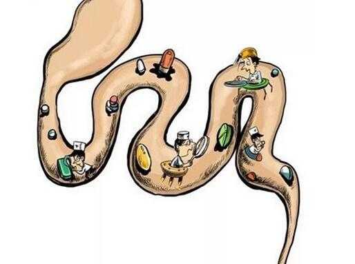 胃胀便秘吃什么能快速排便,老年便秘吃什么能快速排便