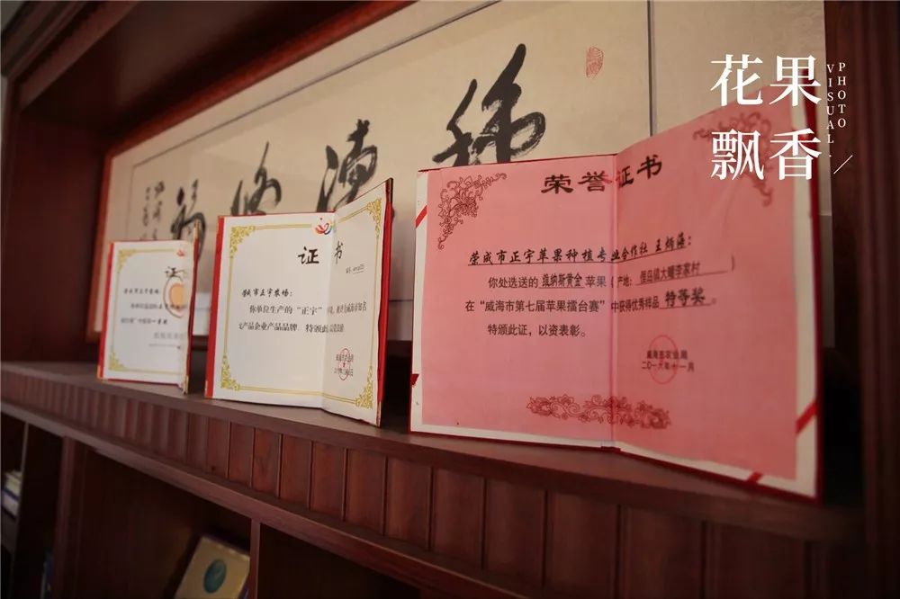 椋庡Э濞撮泤缁扮害澶氬Э,椋庡Э缁扮害娓╁杩蜂汉