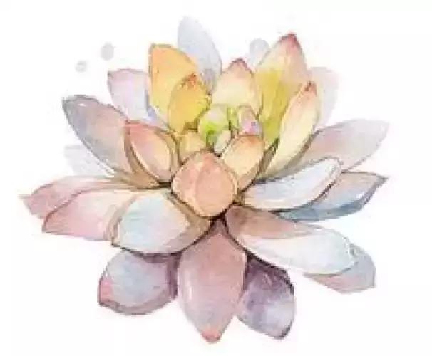 大学生骑机车撞轿车身亡,一学生骑车被撞身亡