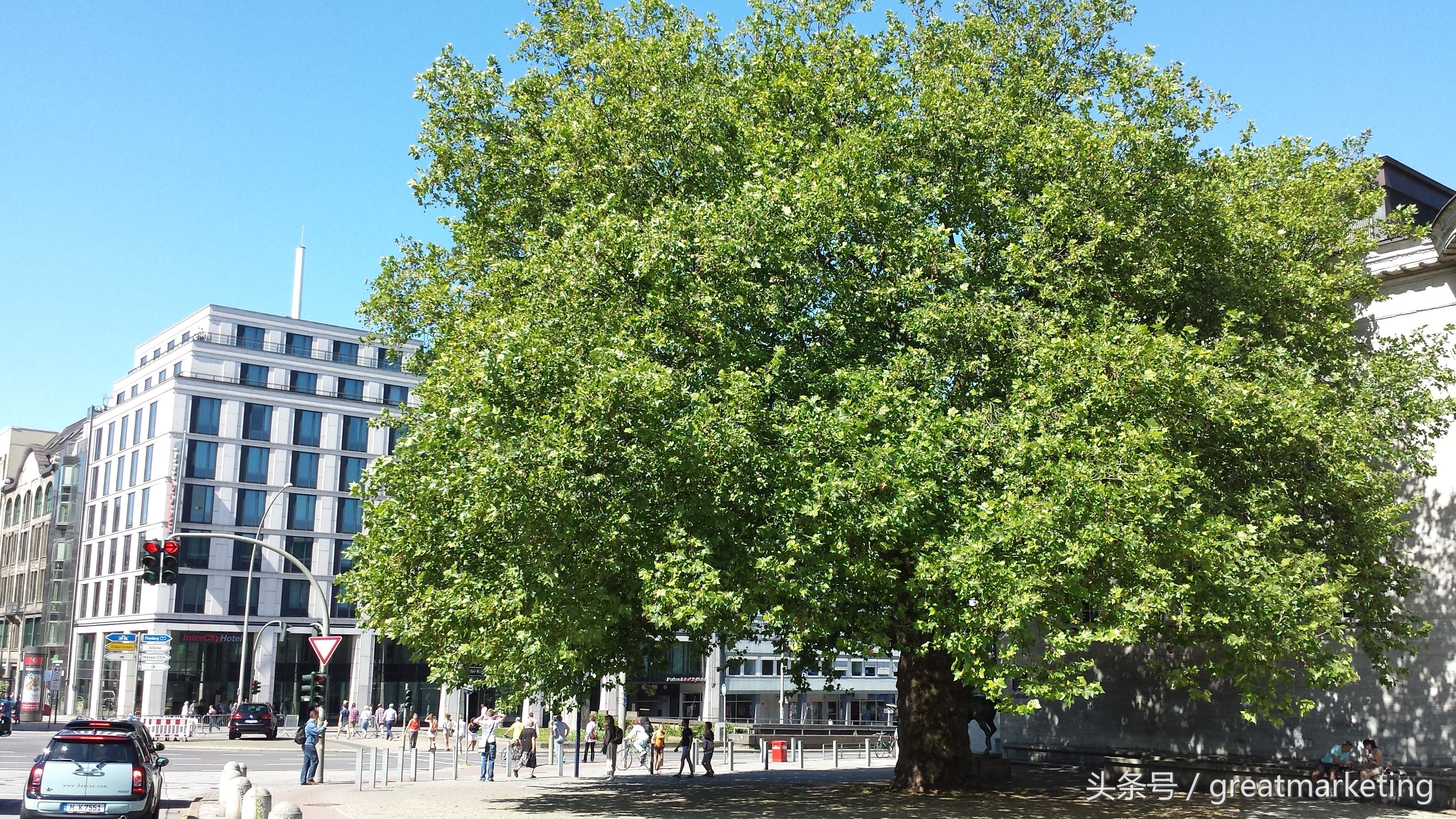 病毒传播真实事件,病毒传播行为