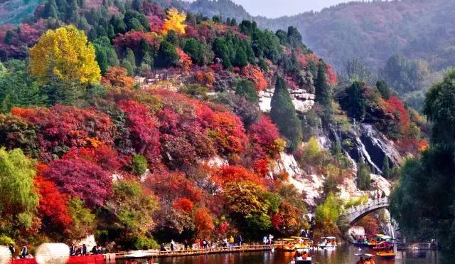 济南红叶谷在济南什么位置,山东济南红叶谷秋色