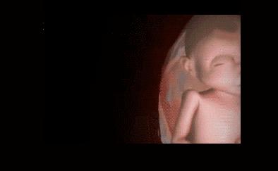 22周胎儿在肚子里的视频,22周胎儿在腹中真实照片