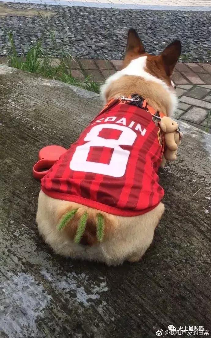 网友在微商那花5000买了个丁丁增大器？结果……