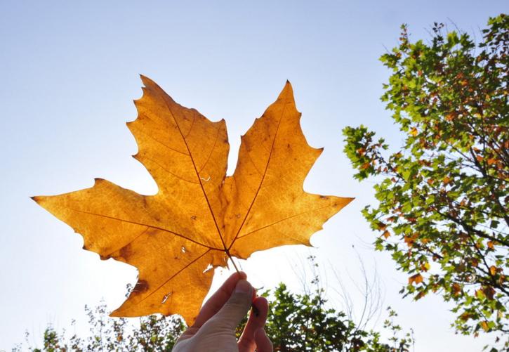 留学加拿大的那些事——todonottodo？