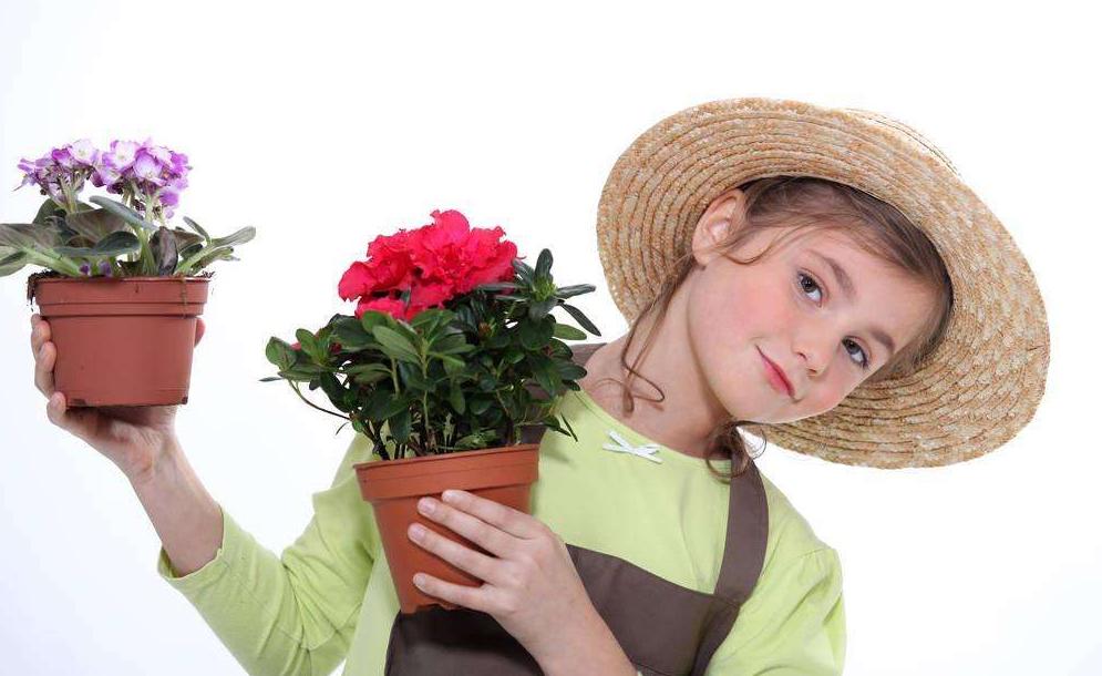 不让玩游戏就不做作业怎么办,不让玩游戏就不写作业