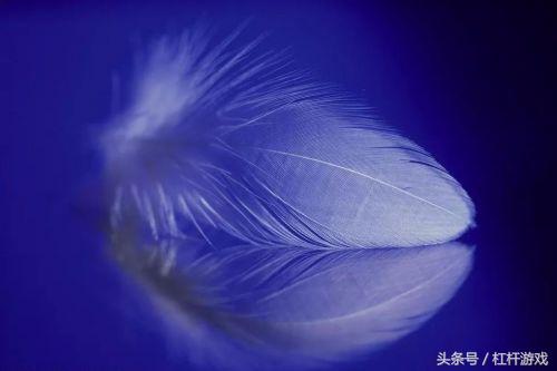 金庸小说里谁是一生的财富,金庸给大家留下的最大财富