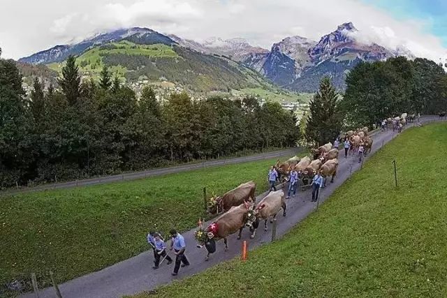 瑞典和瑞士你真的分清楚了吗？