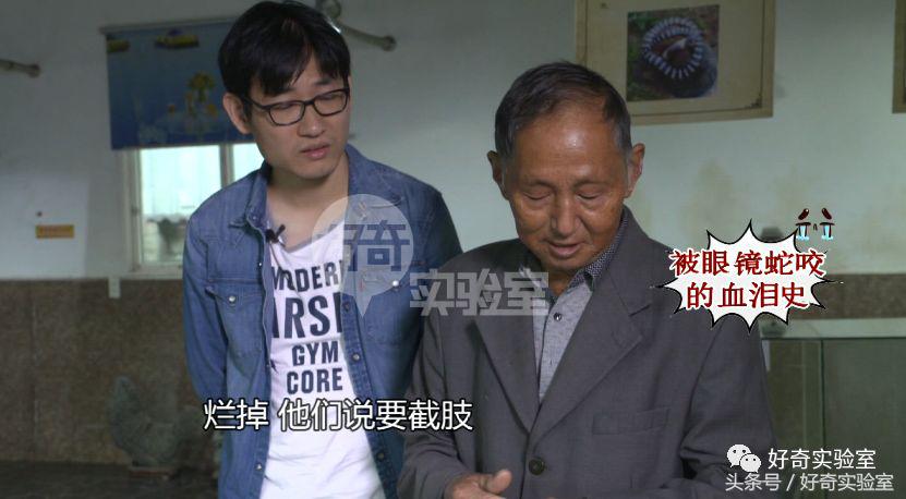 蛇和蛇打结会自己解开吗,蛇打个死结能自己解开吗