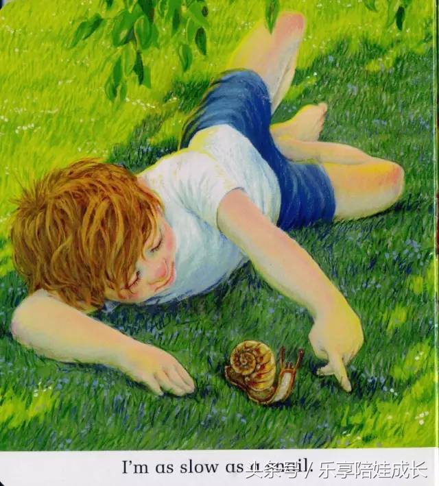 quickasacricket翻译,绘本磨耳朵故事视频