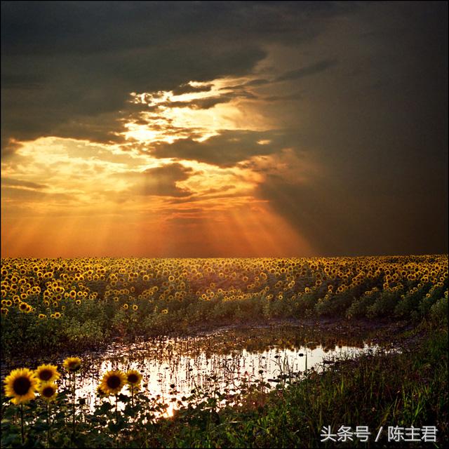 70张让人大开眼界的照片,50张让人惊艳的照片