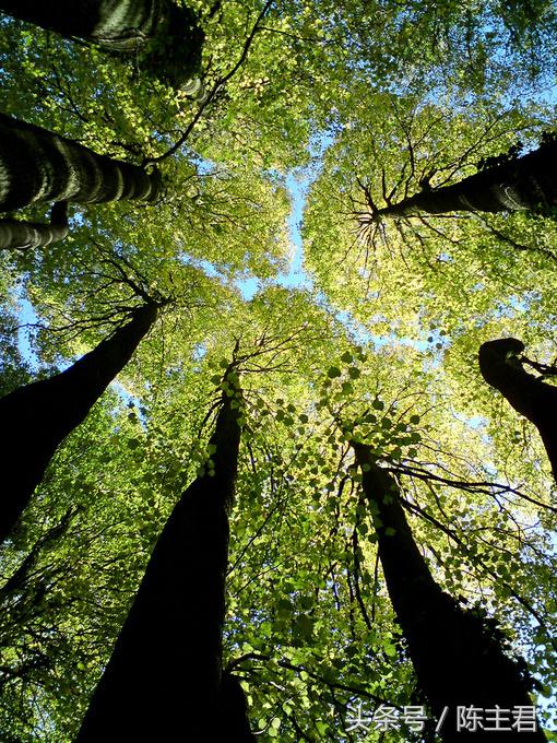 70张让人大开眼界的照片,50张让人惊艳的照片