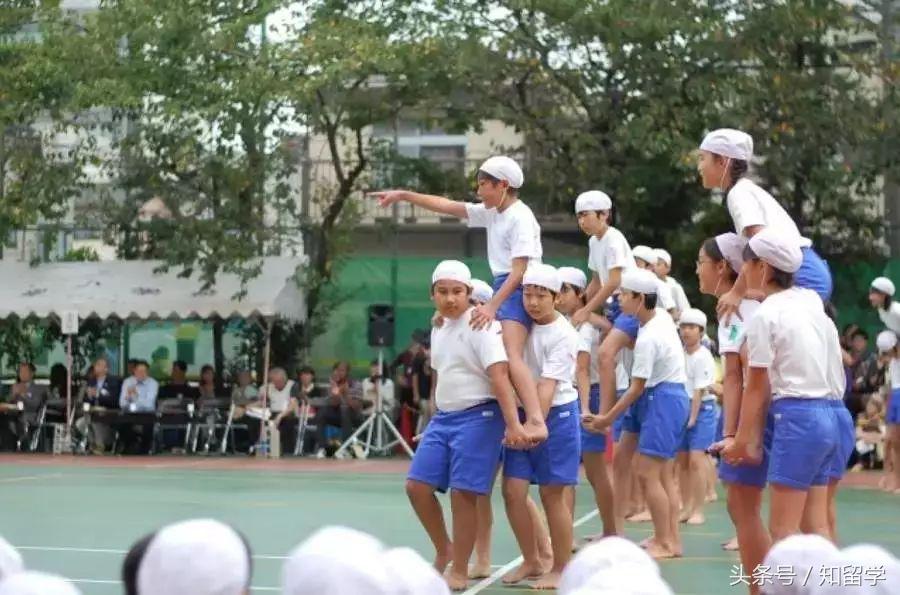 运动会高级创意,最新运动会创意展示