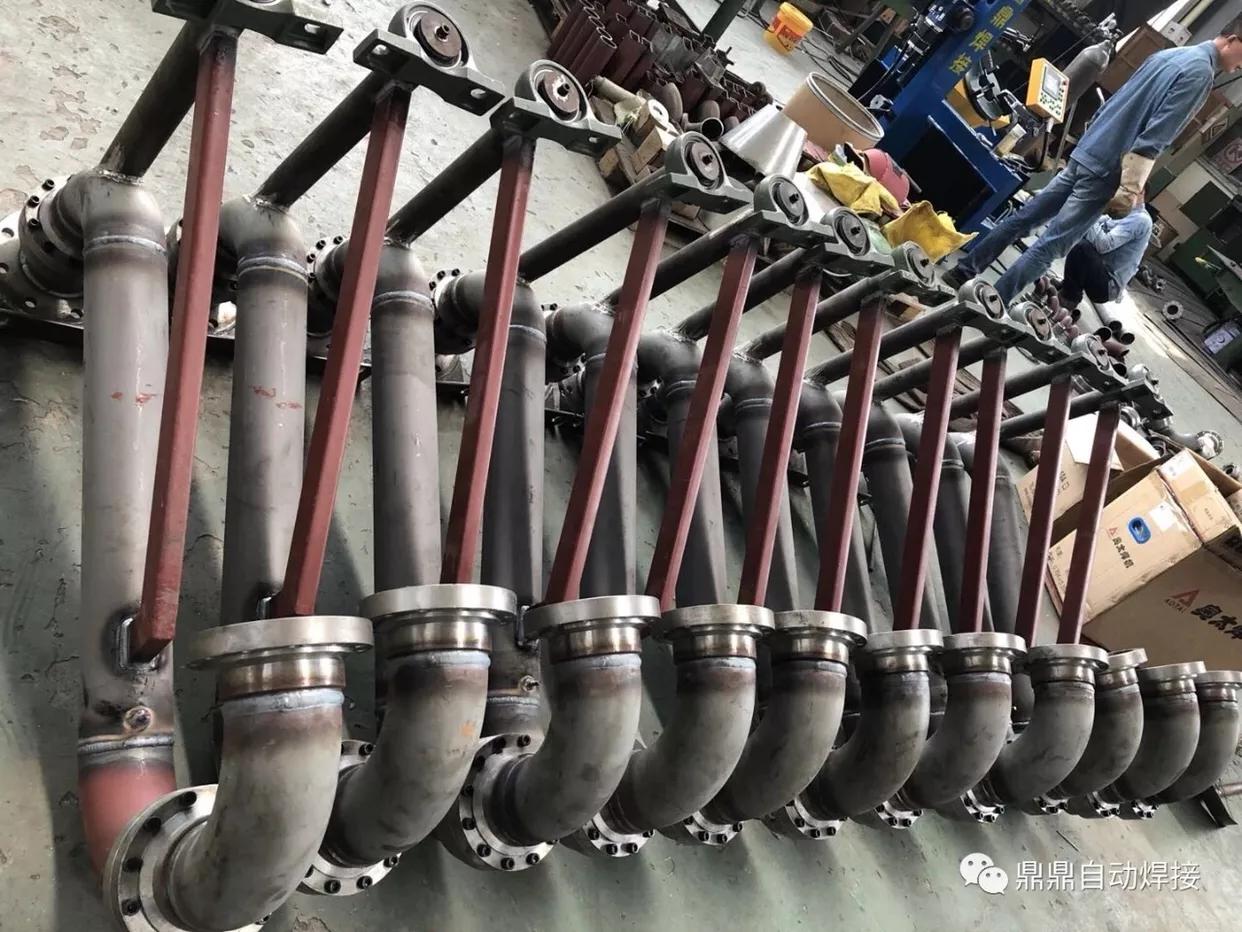 一分钟了解丹顶鹤,两分钟了解海思麒麟