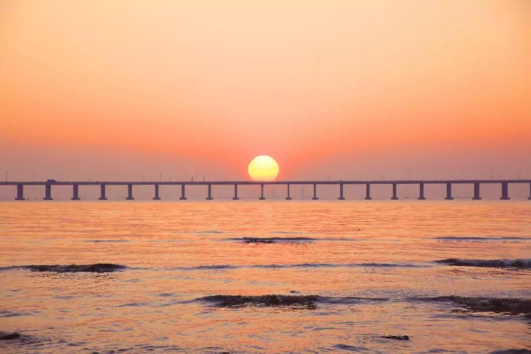 向世界推介深圳,深圳向世界发出邀请