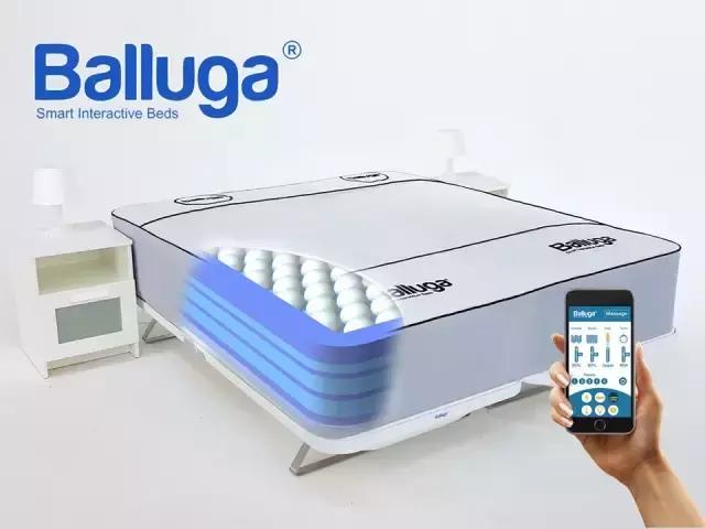 如果说床是青春的坟墓，那我宁可死在这张床上！