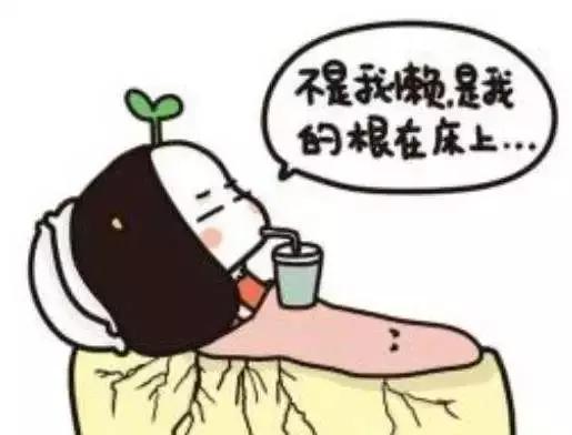 如果说床是青春的坟墓，那我宁可死在这张床上！