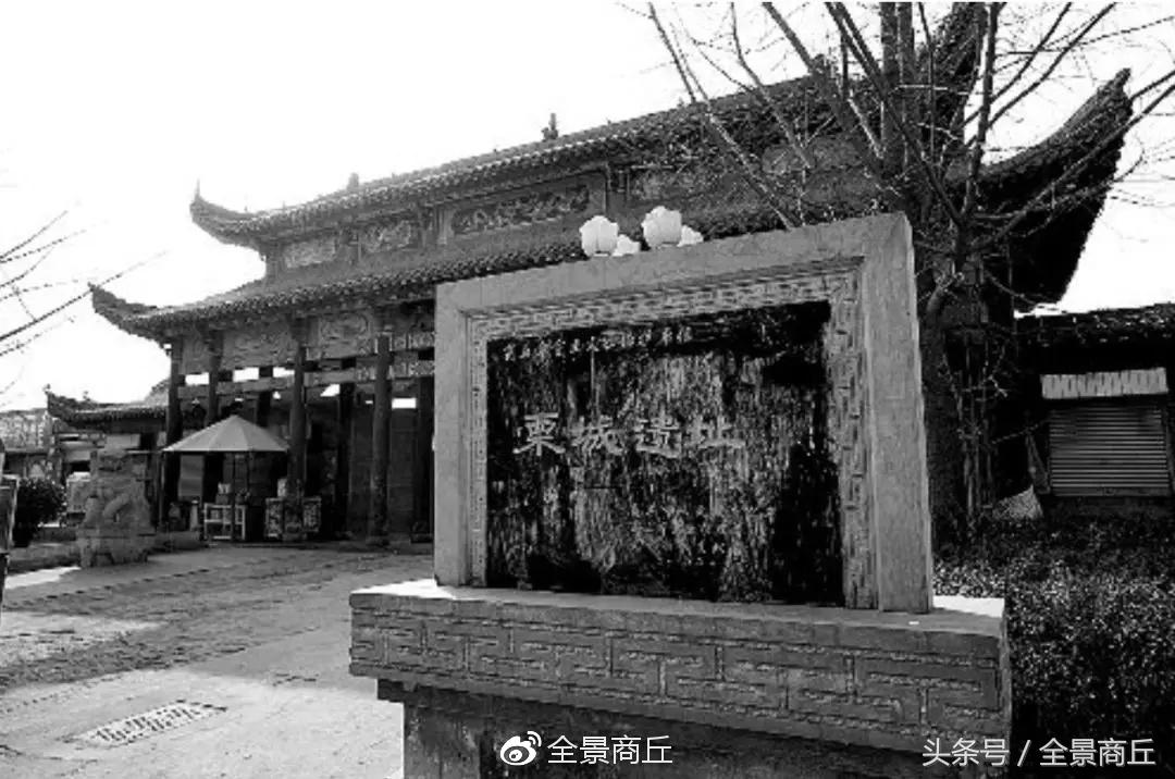 夏邑县发展经济靠什么发展,夏邑县是百强县吗