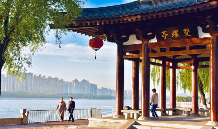 秋到上阳宫，黄叶蓝天高宫阙，皇帝都赞的美景，免费你都没去看？