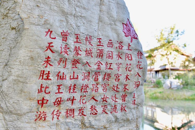 秋到上阳宫，黄叶蓝天高宫阙，皇帝都赞的美景，免费你都没去看？