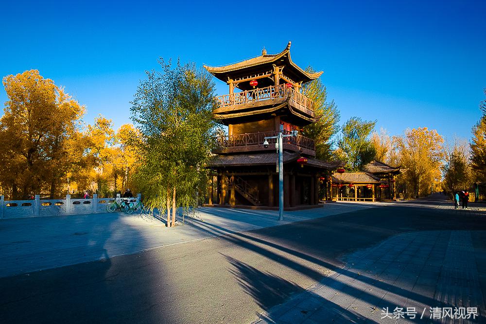 三千年守候额济纳完整版,大美金塔胡杨林