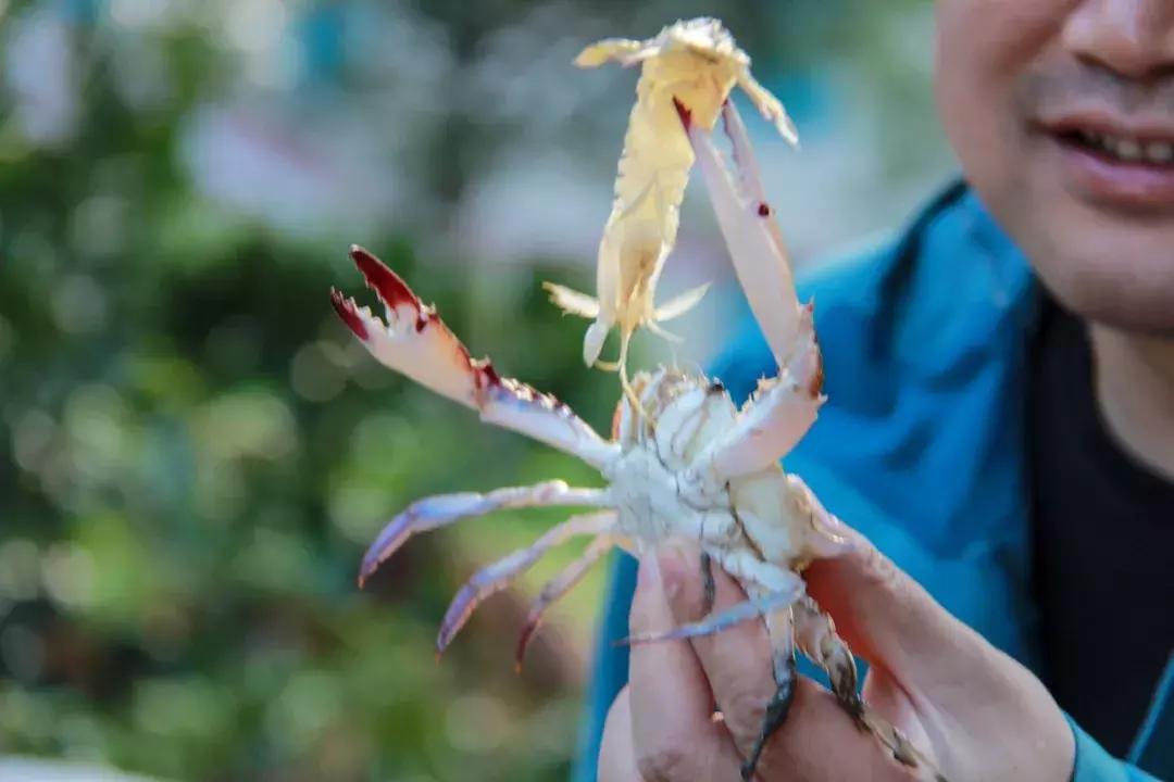 娴欐睙鍙板窞瀹濊棌鐢峰,鍙板窞瀹濊棌鐢风敓