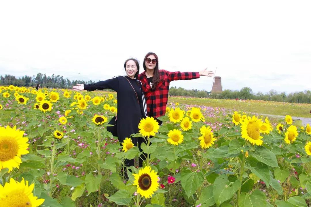 娴欐睙鍙板窞瀹濊棌鐢峰,鍙板窞瀹濊棌鐢风敓