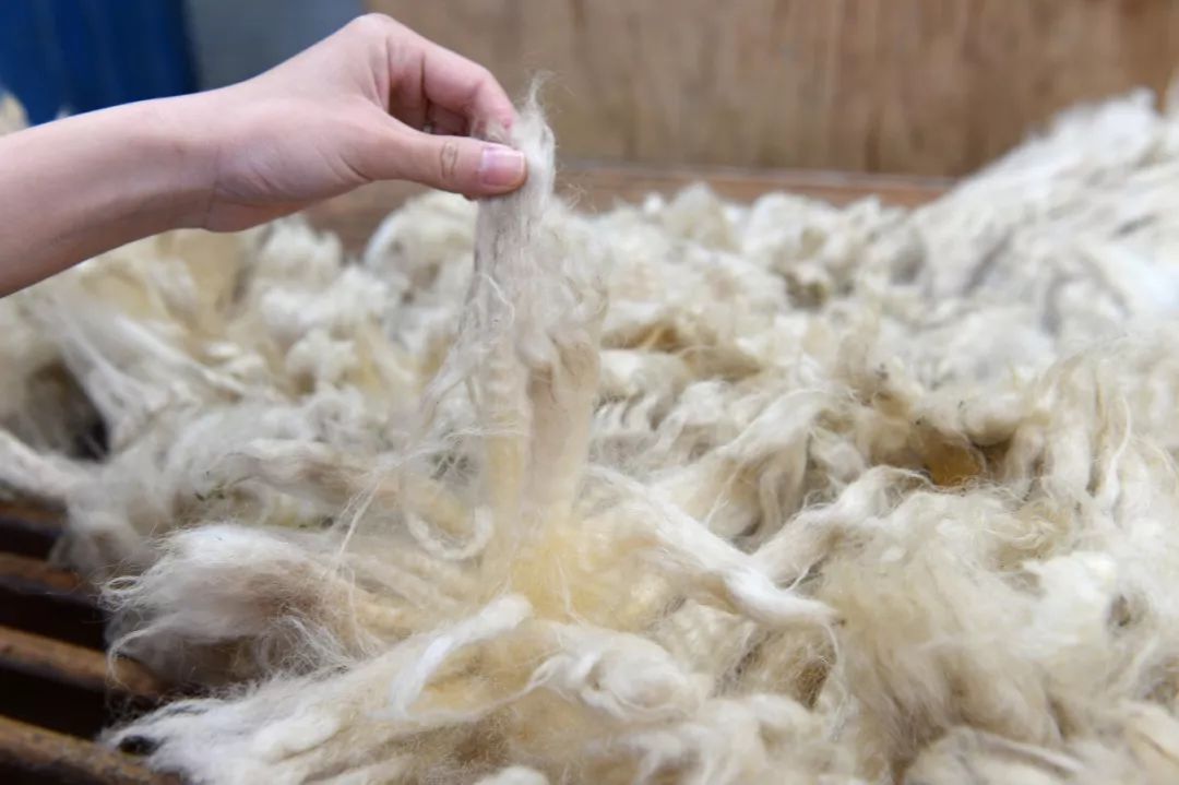 不是所有的羊绒衫都是柔软的么,质感柔软羊绒衫穿着舒服春秋