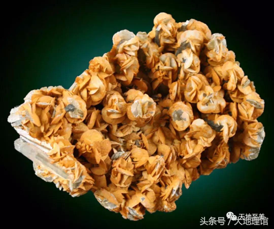 地球上有两个地方是哪里,地球上有多少个国家分别在哪